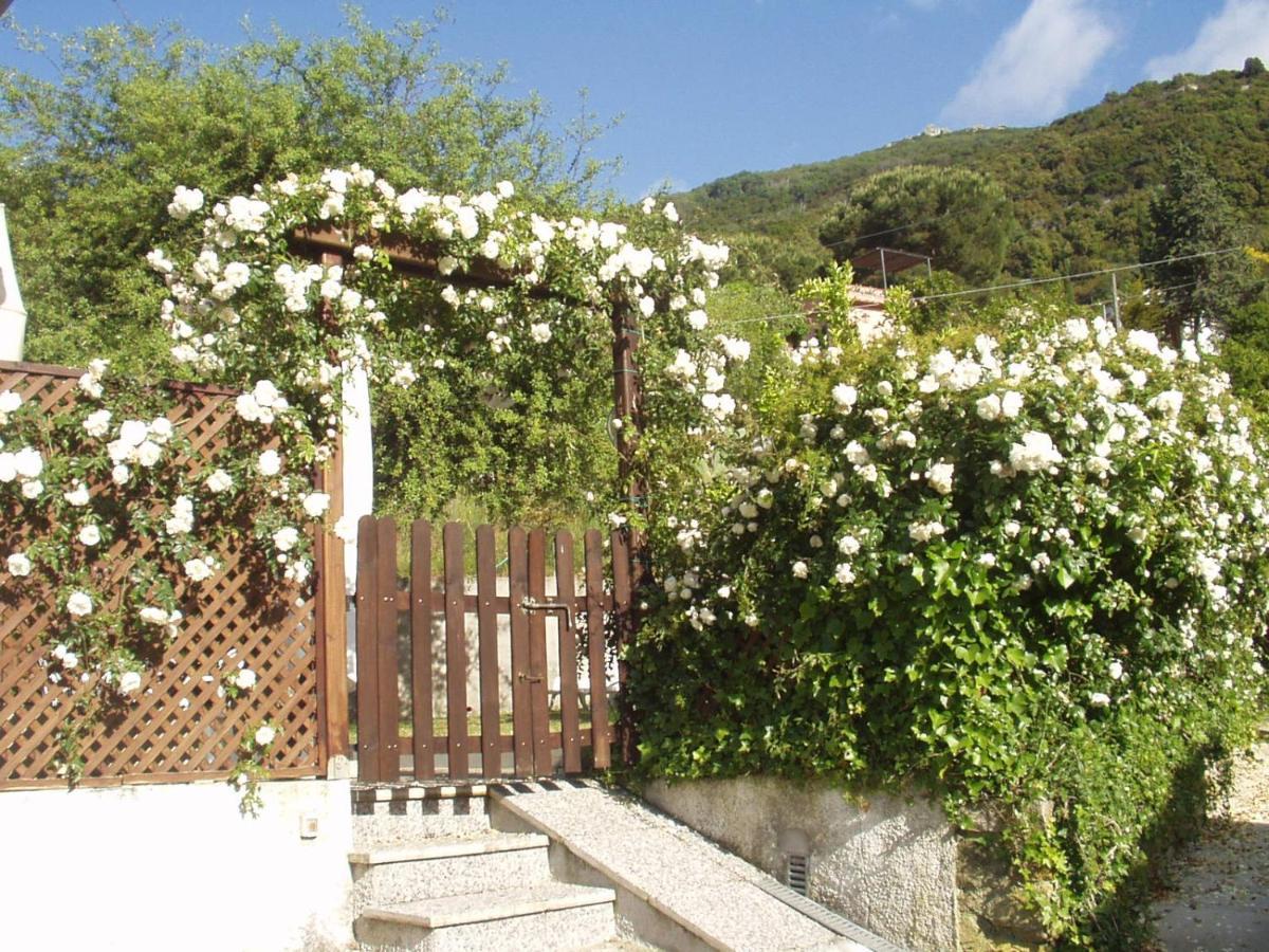Villa Dei Limoni Sant'Andrea Eksteriør billede