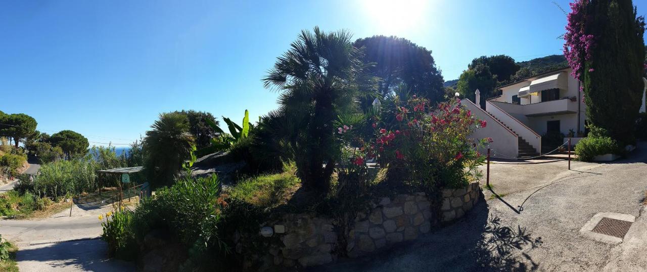 Villa Dei Limoni Sant'Andrea Eksteriør billede